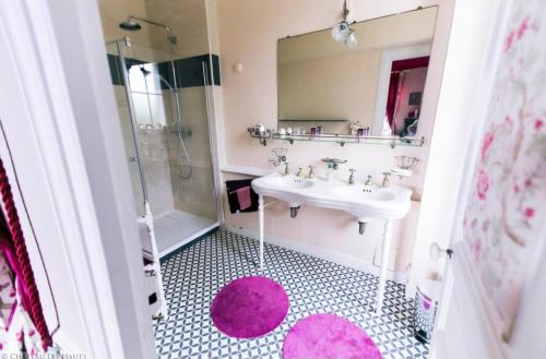 a bathroom with a sink and a mirror at Suite Napoléon 3, vue Mont St Michel, avec balcon in Saint-Jean-le-Thomas
