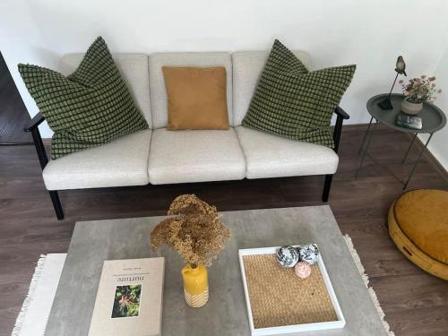 Et opholdsområde på Rodopi Mountain Village House