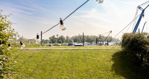 a group of birds hanging from a power line at De Sleeuwijkerwaard in Sleeuwijk