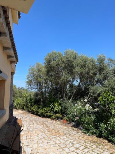 a brick walk way with trees in the background at Venti di Vacanza - Levante & Grecale in Olbia
