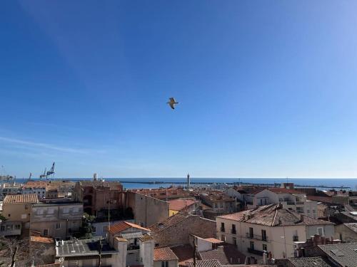 an airplane flying over a city with buildings at Nid douillet Cosy T2 quartier haut centre-ville in Sète