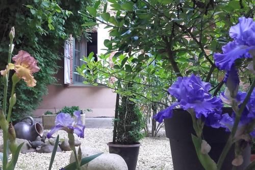 Le Despeyrous gite en ville