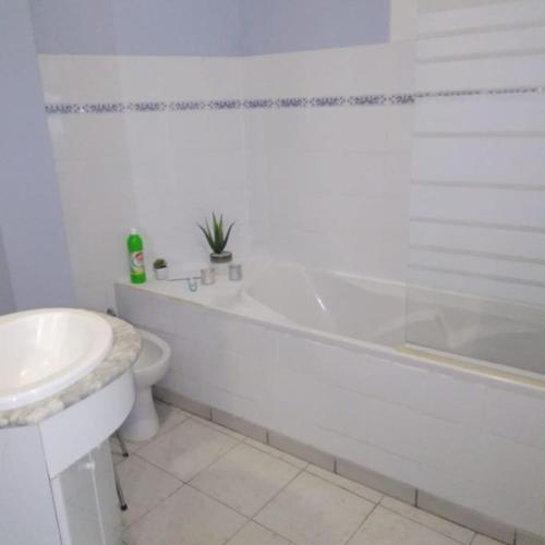 une salle de bain avec toilettes, baignoire et lavabo dans l'établissement Le Despeyrous gite en ville, à Beaumont-de-Lomagne