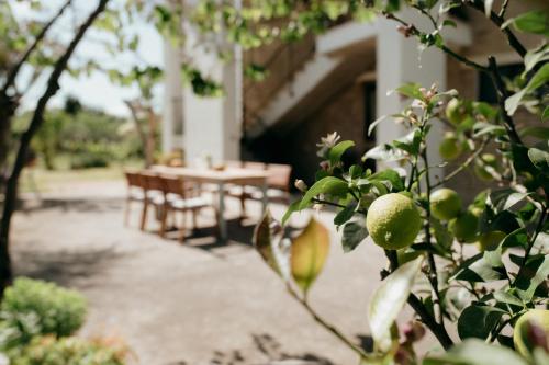 an outdoor patio with tables and chairs and a tree at ZEM casolare in Petriolo
