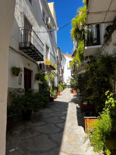 an alley in an old town with plants at Apartamento PAT in Quesada