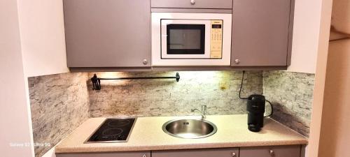 eine kleine Küche mit einer Spüle und einer Mikrowelle in der Unterkunft Speising in Wien