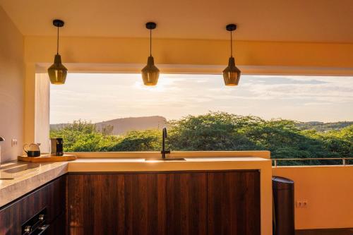 a kitchen with a sink and a window with a view at Naturescape Villa Bliss - Sint Michiel in Sint Michiel