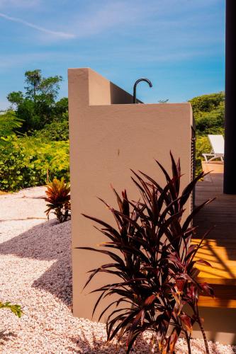 a wall with a plant next to a patio at Naturescape Villa Bliss - Sint Michiel in Sint Michiel