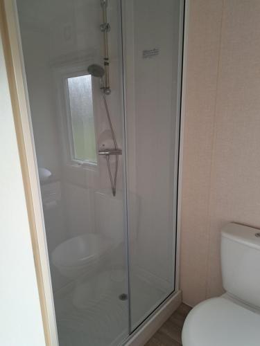 a shower with a glass door in a bathroom at Camping de Zandhorst, Chalet Victory in Wouterswoude