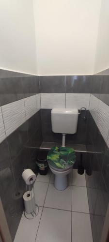 a small bathroom with a toilet with a green seat at Grey Deluxe Apartman Kaposvár in Kaposvár