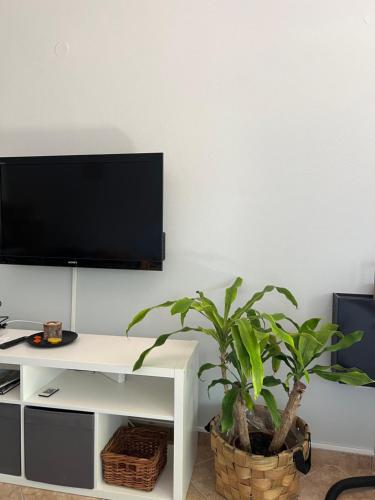 The Stayにあるテレビまたはエンターテインメントセンター