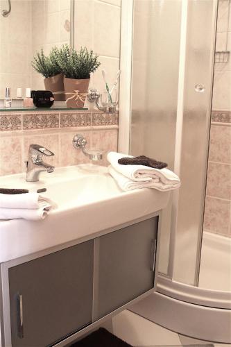 a bathroom with a sink and a shower at Villa Luka in Pag