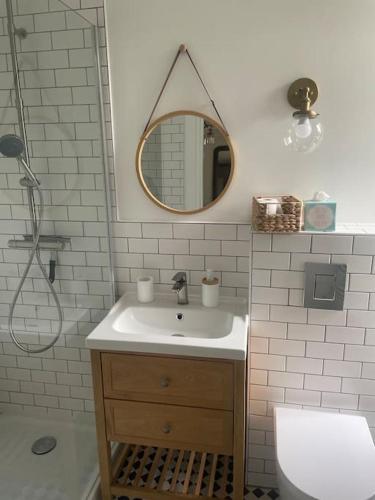 a bathroom with a sink and a mirror at Gîte Glycine pour 8 personnes avec sauna et bain nordique in Capian