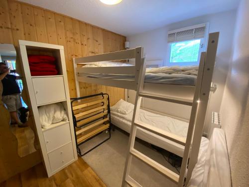 une chambre avec deux lits superposés et une échelle dans l'établissement La casa de la foux a proximité des pistes vue montagne 6 personnes Max, à Allos