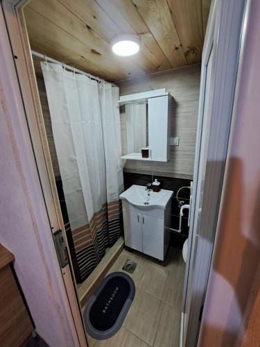 a small bathroom with a sink and a toilet at Mountain Life in Žabljak
