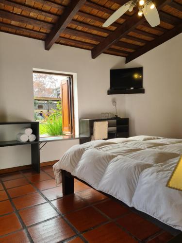 a bedroom with a bed and a television on the wall at Posada El Capullo in Colonia del Sacramento