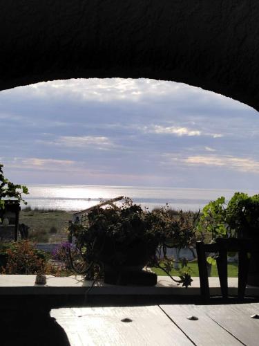 a view of the ocean from a porch with a plant at Σπίτι στο κυμα in Litochoro