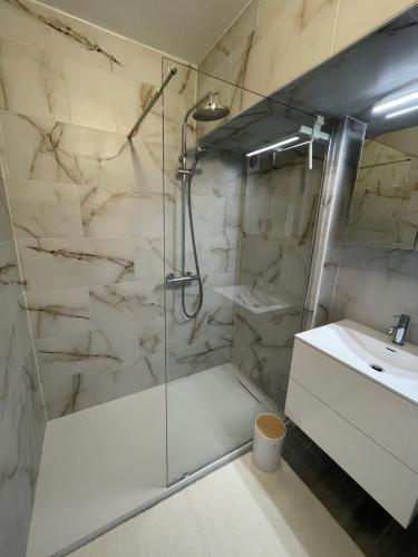 een badkamer met douche en wastafel bij appartement Axelle 2 in Blankenberge