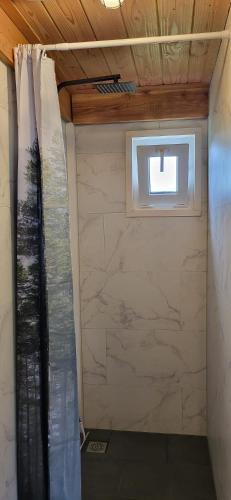 a bathroom with a shower curtain and a window at The Poolhouse in Buitenpost