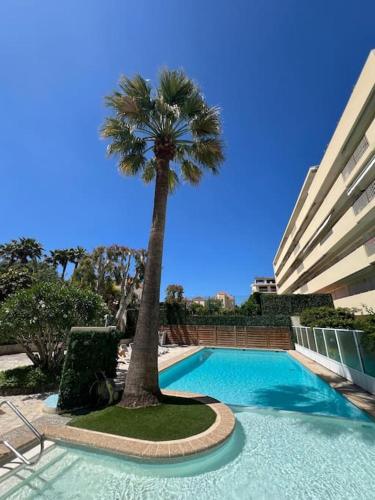 un palmier et une piscine avec un palmier dans l'établissement 2 pièces - Piscine - Terrasse XXL - Plage La Salis, à Antibes
