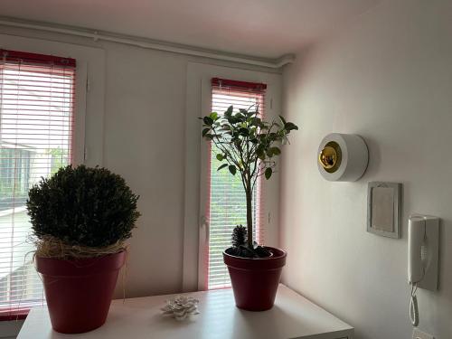 two potted plants sitting on a table in a room at Red Flat Paris in Paris