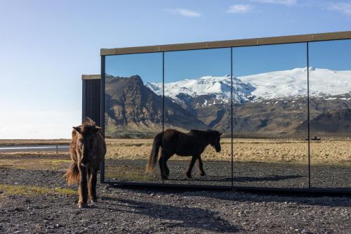 due cavalli sono in piedi davanti a uno specchio di Umi Hotel a Skogar