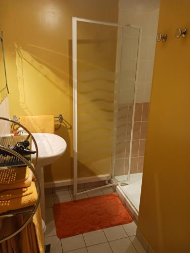 a bathroom with a shower and a sink at les accacias in Moyenmoutier