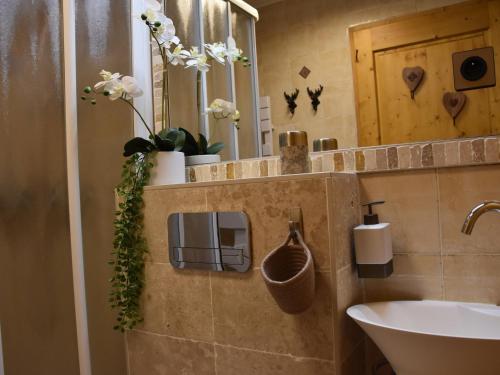 a bathroom with a sink and a mirror at Appartement 4P bien agencé avec grandes terrasses, proche commerces et téléphérique, 8 pers - FR-1-464-54 in Pralognan-la-Vanoise