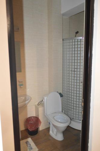 a bathroom with a toilet and a sink at Pensiunea VisAventura in Vişan