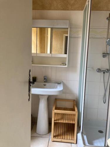 une petite salle de bain avec un lavabo et une douche dans l'établissement Les jardins suspendus de Belvès, à Belvès