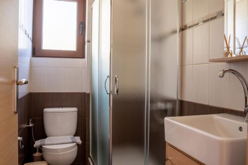 a bathroom with a toilet and a sink and a shower at Artemisa House in Agia Roumeli