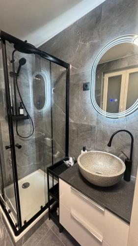 une salle de bain avec un lavabo et une douche dans l'établissement Studio Cosy, à Paris