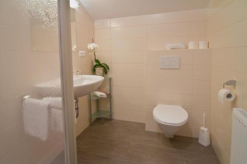 a small bathroom with a toilet and a sink at Feichterhof in Bad Kleinkirchheim