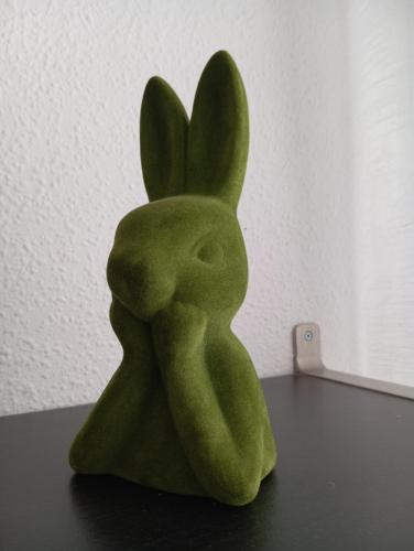 Studio Green Rabbit photo 23