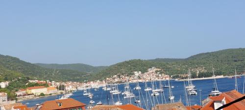 a group of boats docked in a harbor at Stunning view-Maleni in Vis