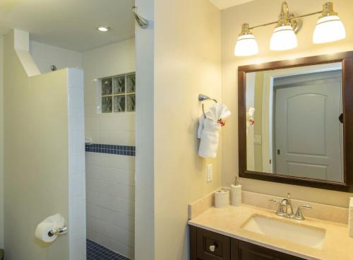 a bathroom with a sink and a mirror and a shower at Tropical Panorama in Cruz Bay