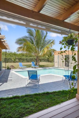 a swimming pool with chairs and a palm tree at Comfy Spacious Villa W- Pool, Jacuzzi, Bbq in Juan Dolio