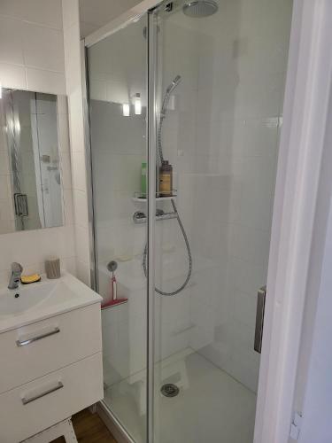 une salle de bain blanche avec une douche et un lavabo dans l'établissement Résidence Le Pharo, au Cap d'Agde