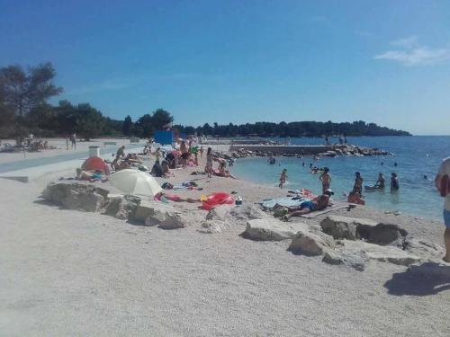 Studio apartment with free parking and no balcony but terase in front of the house