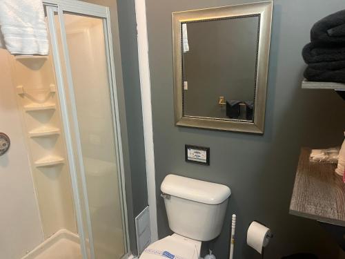 a bathroom with a toilet and a mirror at Mount Jefferson View in Randolph