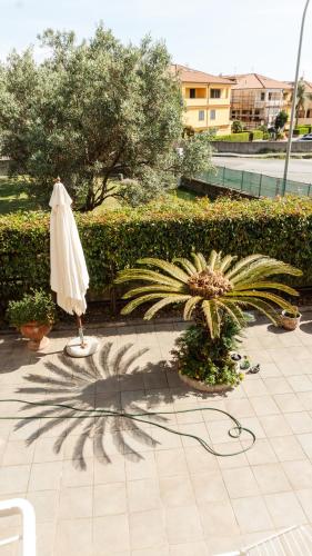a patio with an umbrella and a palm tree at La dimora di Annarè in SantʼEufemia Lamezia