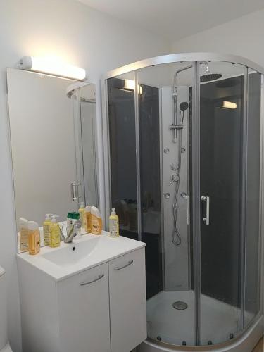 Locatif gare Lille Europe Souvenir