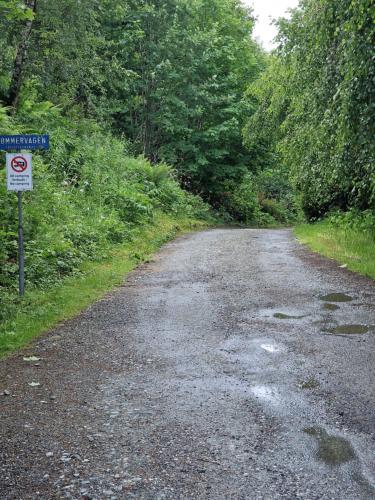 a wet road with a no parking sign on it at Eidsvåg in Bergen