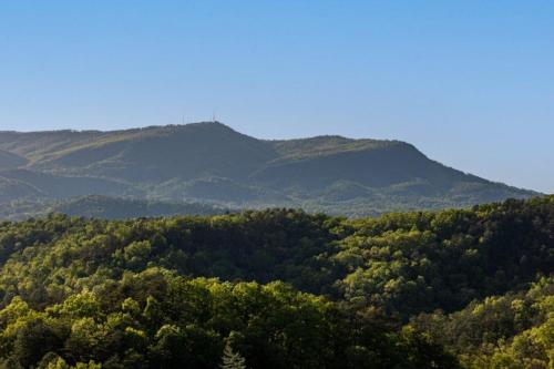 Scenic Vista Lodge by Eden Crest photo 31