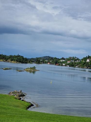 a large body of water with green grass and trees at Eidsvåg in Bergen