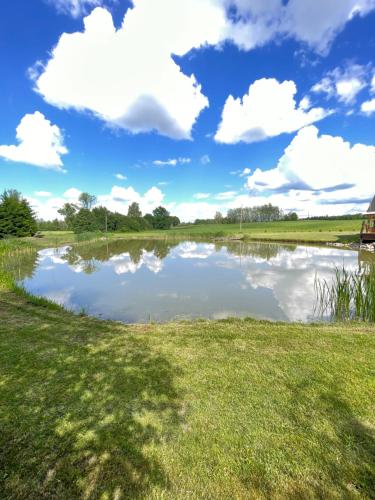 a pond on a field with clouds in the sky at Gintaro pirtelė in Lazdijai