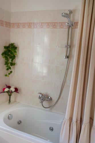 a bathroom with a bath tub with a shower at Il Giardino di Cristina - A literary B&B in Chianti in Vagliagli
