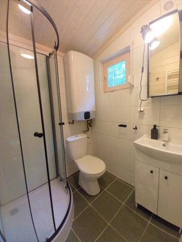 a bathroom with a shower and a toilet and a sink at Sosnowa Odnowa - domek na Mazurach z sauną i balią in Rybno