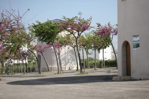 Apartamento Conil - Casa Pilar