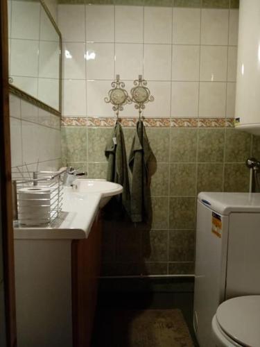a bathroom with a sink and a toilet at Bobackan pihatorpan aitat in Hämeenlinna